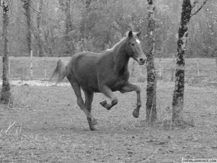 Photo de profil de poklea