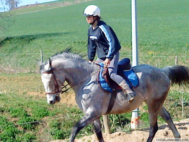 Photo de profil de floraaa81