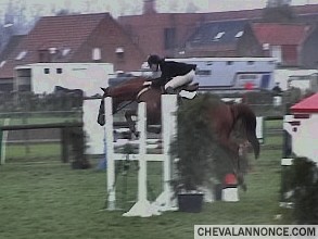 Photo de profil de colibri26230