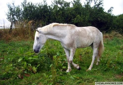 Photo de profil de selene54