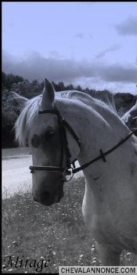 Photo de profil de padoum79