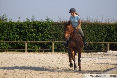 Photo de profil de maeva89