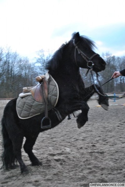 Photo de profil de lauura.oo