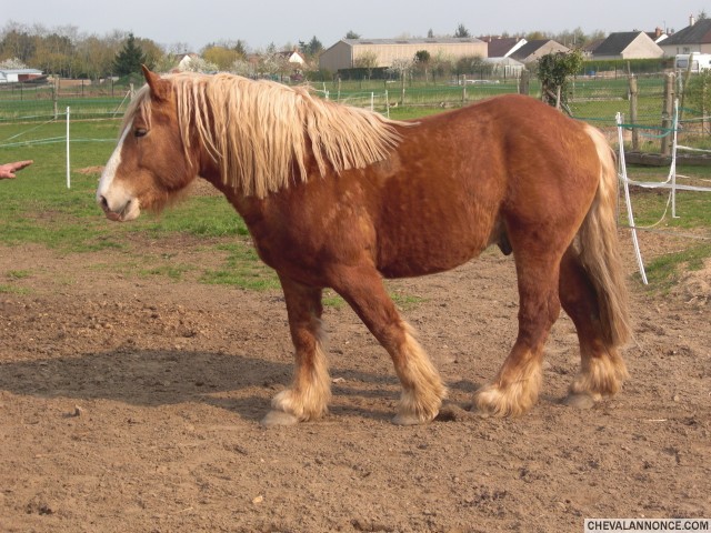 Photo de profil de lulu45