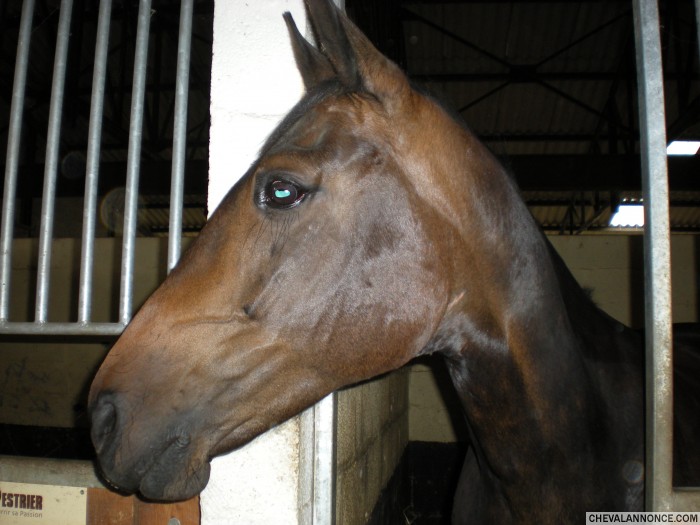 Photo de profil de sand62