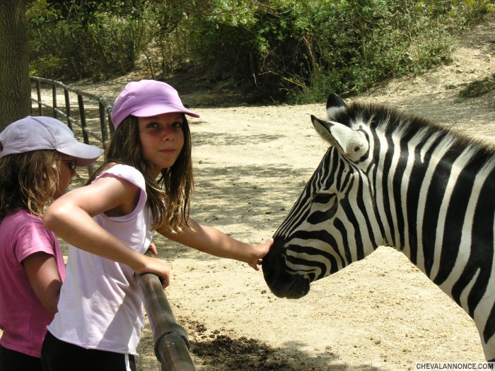 Photo de profil de lesanes