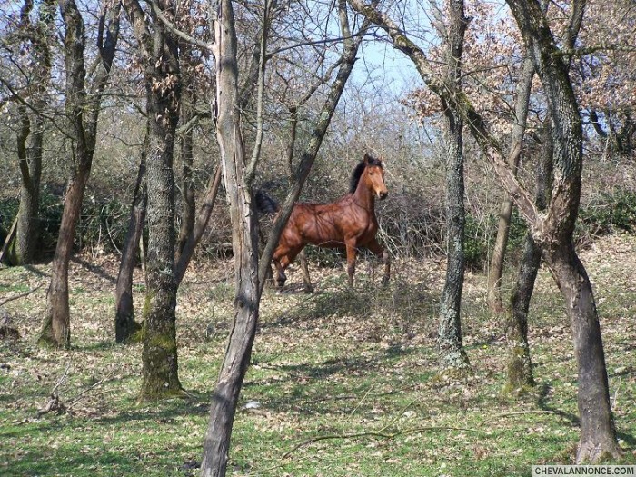 Photo de profil de asybille