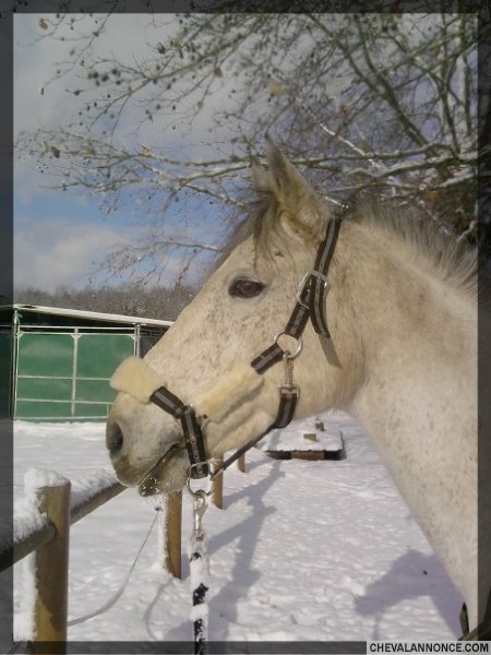 Photo de profil de naa.