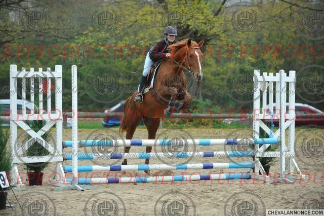 Photo de profil de sidy