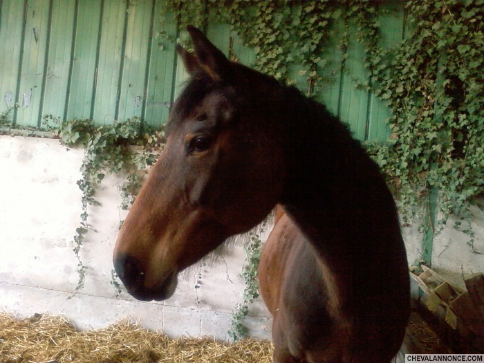 Photo de profil de fiana