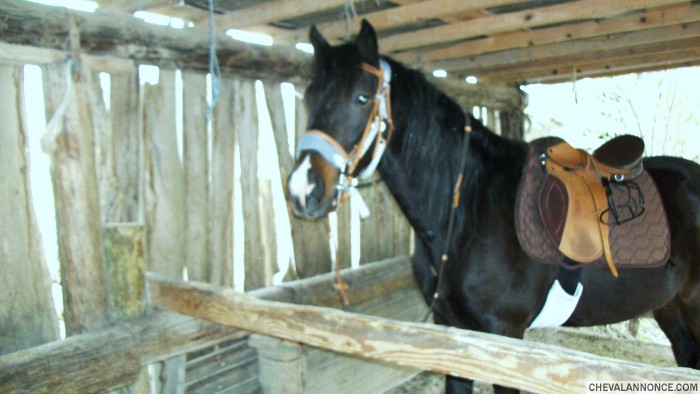 Photo de profil de crumpet