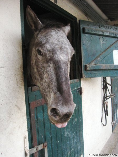 Photo de profil de misschevaldu36