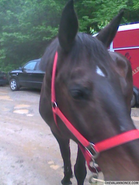 Photo de profil de louidji07