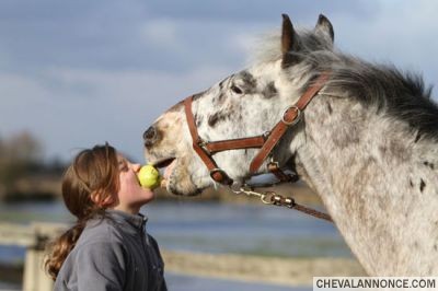 Photo de profil de helodor