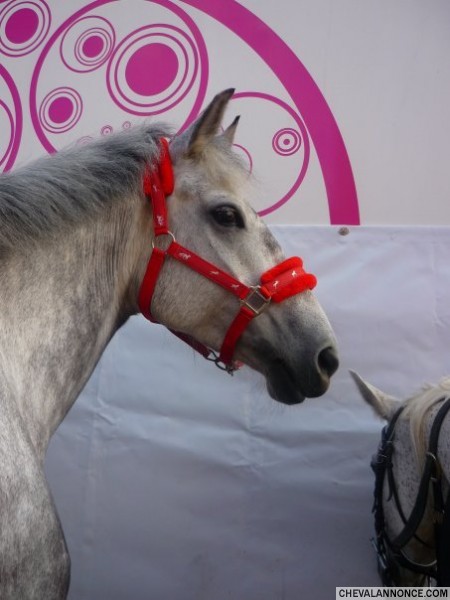 Photo de profil de saannndiiiieee