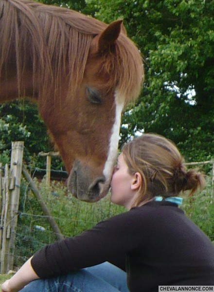 Photo de profil de flochke