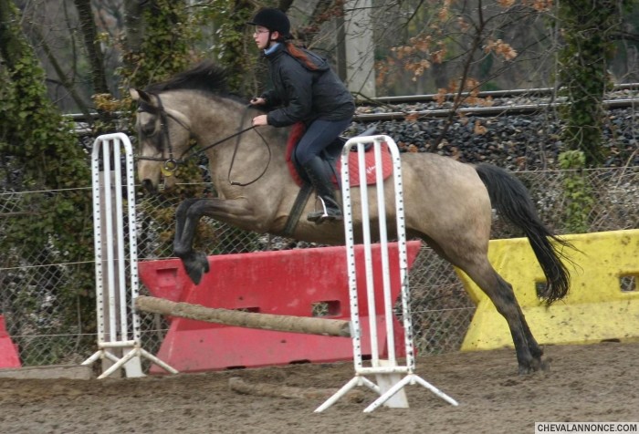 Photo de profil de samora