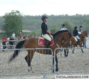 Photo de profil de octavia3010