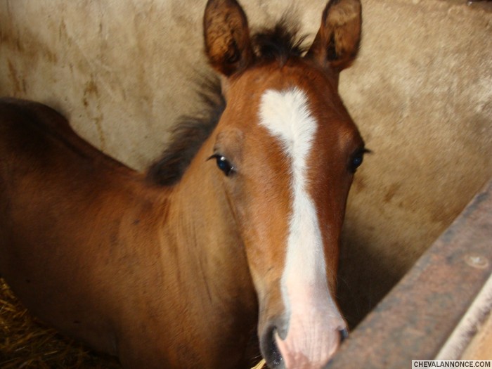 Photo de profil de otop21