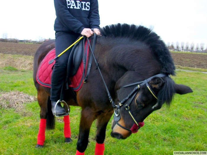 Photo de profil de nelsone