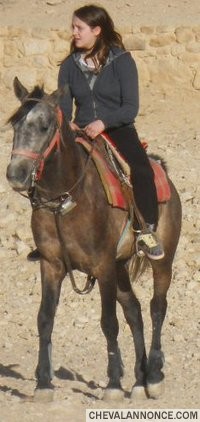 Photo de profil de lau_wa