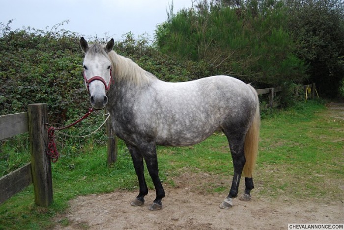 Photo de profil de laureane