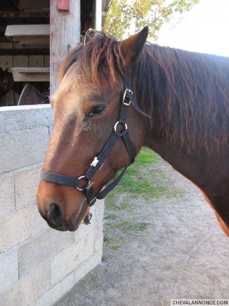 Photo de profil de luckynou
