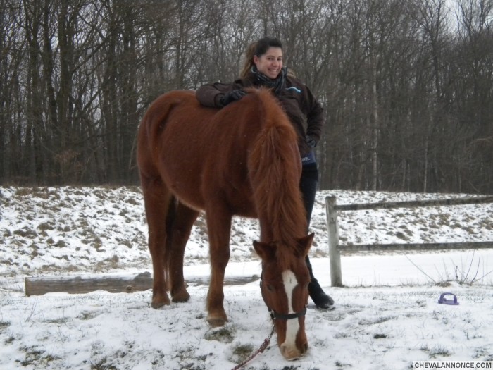Photo de profil de jjdu91