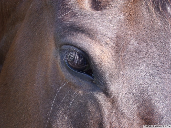 Photo de profil de lulli
