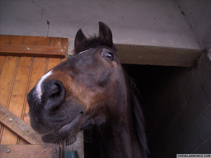 Photo de profil de clocloney28