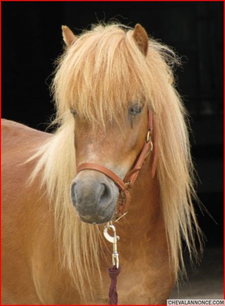 Photo de profil de bob29