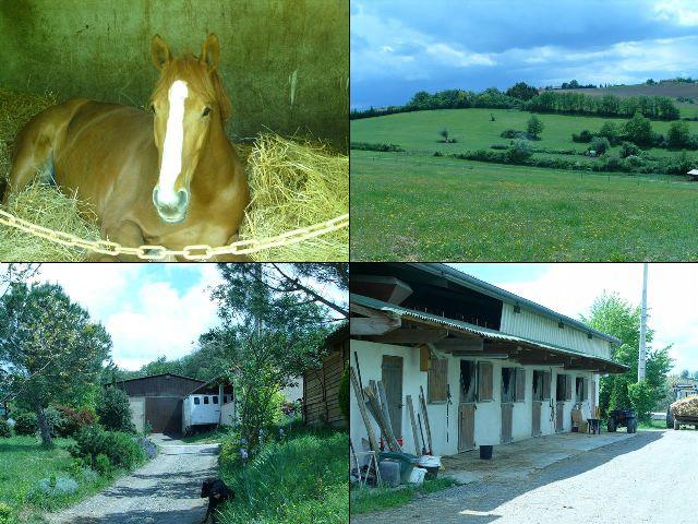 Photo de profil de elevagedulanson