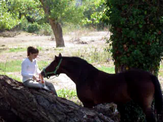 Photo de profil de elipse