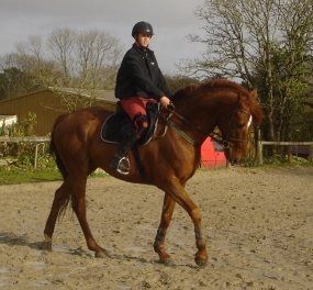 Photo de profil de epona29