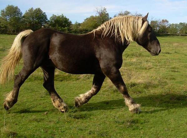 Photo de profil de epona69