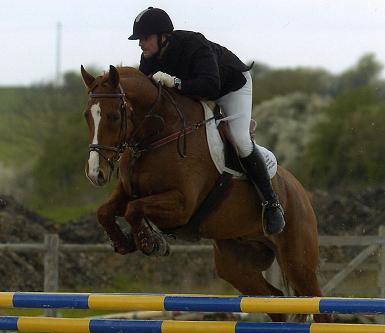 Photo de profil de equicoach