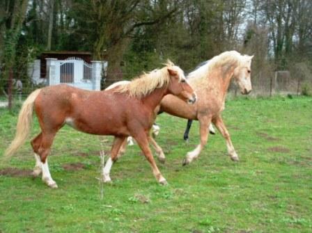 Photo de profil de fanny51