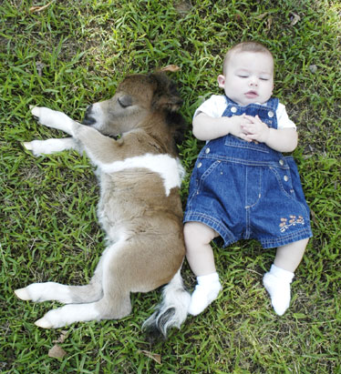 Photo de profil de fansdechevaux86