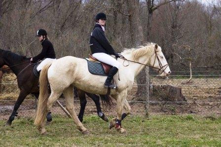 Photo de profil de gaelanne
