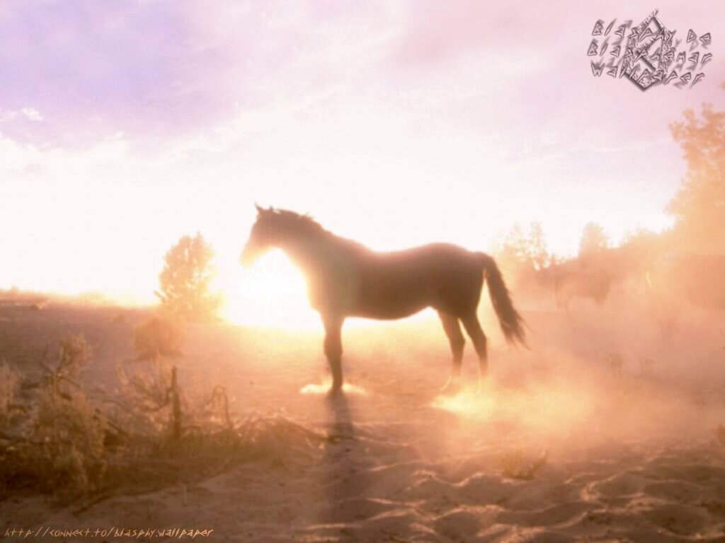 Photo de profil de galop44