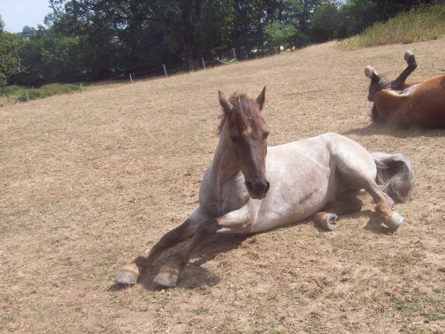 Photo de profil de gardel