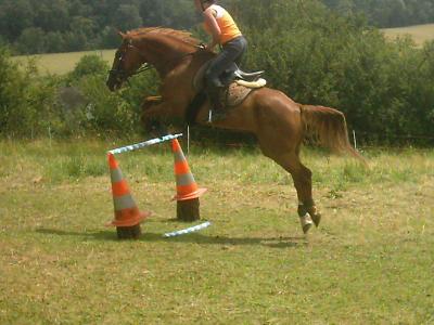 Photo de profil de gg2812