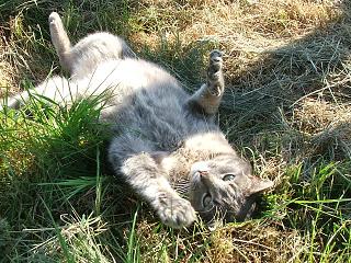 Photo de profil de gilbert