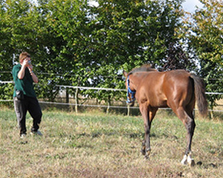 Photo de profil de ginou