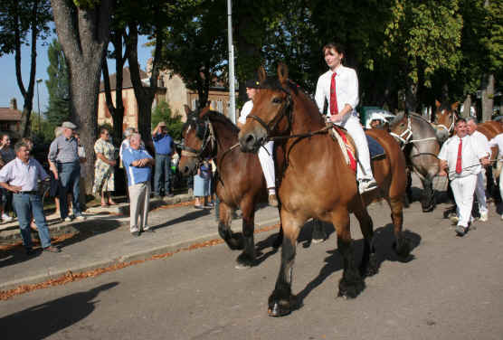 Photo de profil de griotte