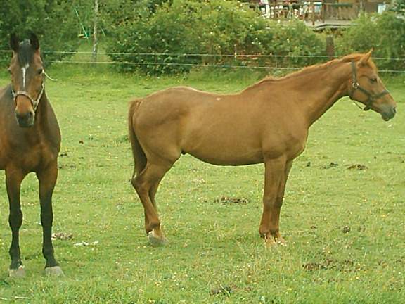 Photo de profil de hectoro