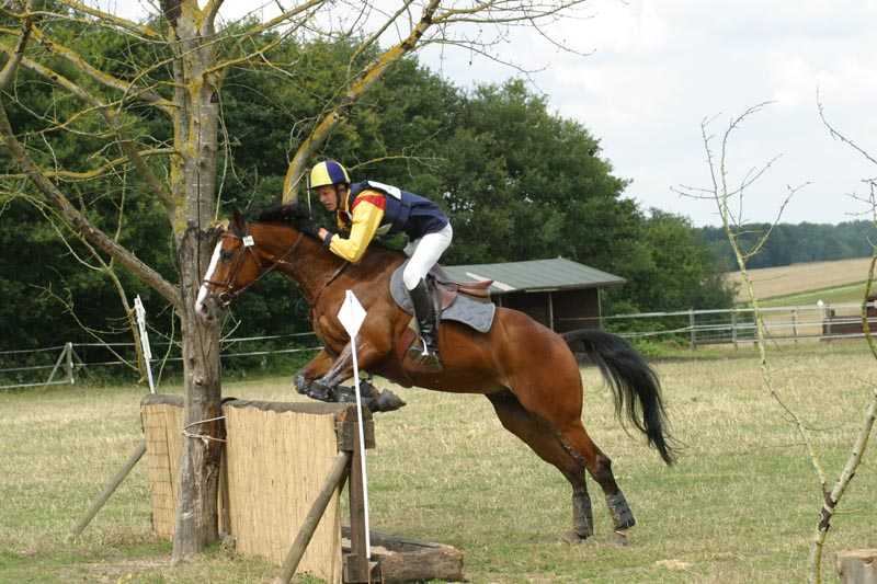 Photo de profil de helidevicq