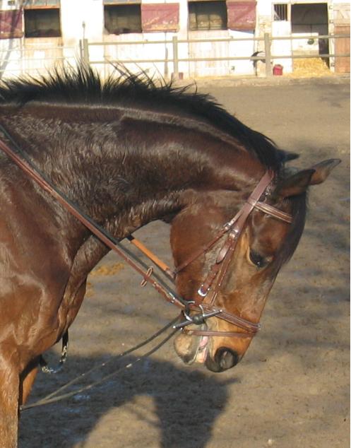 Photo de profil de hewlie