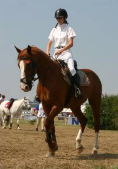 Photo de profil de horsegirl47