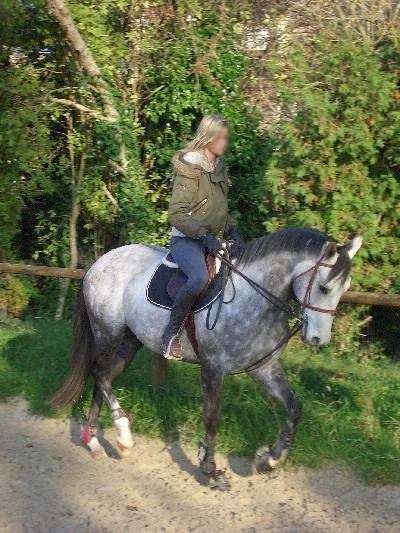 Photo de profil de ifassion